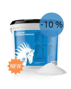 Magnesium Vitamin B Komplex Pferd
