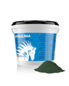 Spirulina Pferd