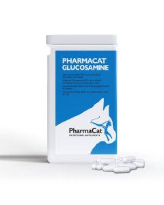 Glucosamin Katze
