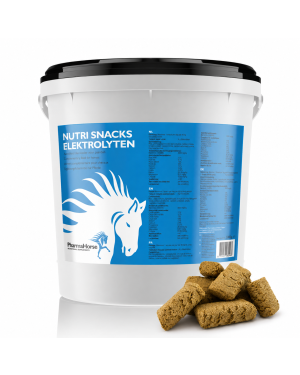Nutri Snacks Elektrolyte