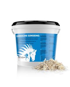 Sibirischer Ginseng Pferd 