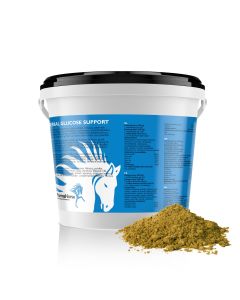 Kräuter Glucose Support