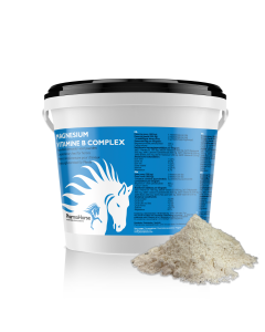 Magnesium Vitamin B Komplex Pferd
