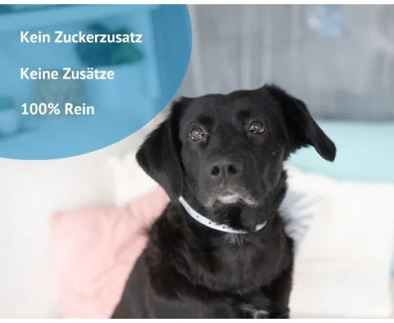 naftie hundefutter naftie BIO HAFER GLCK