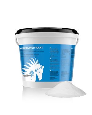 Magnesium Pferd