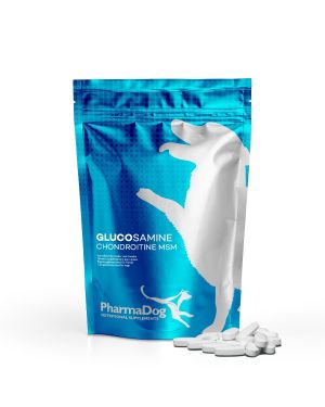 Glucosamin-Chondroitin-MSM Hund