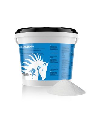 Kollagen+ Pferd 