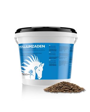 Flohsamen Pferd