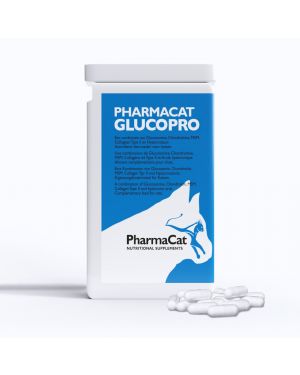 Glucopro Katze