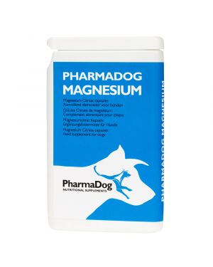 Magnesium Hund