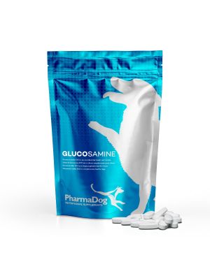 Glucosamin Hund