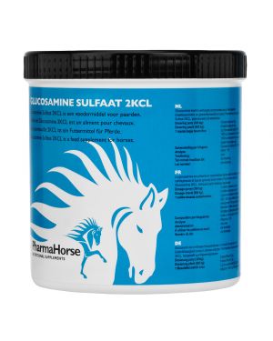 Glucosamin Pferd 