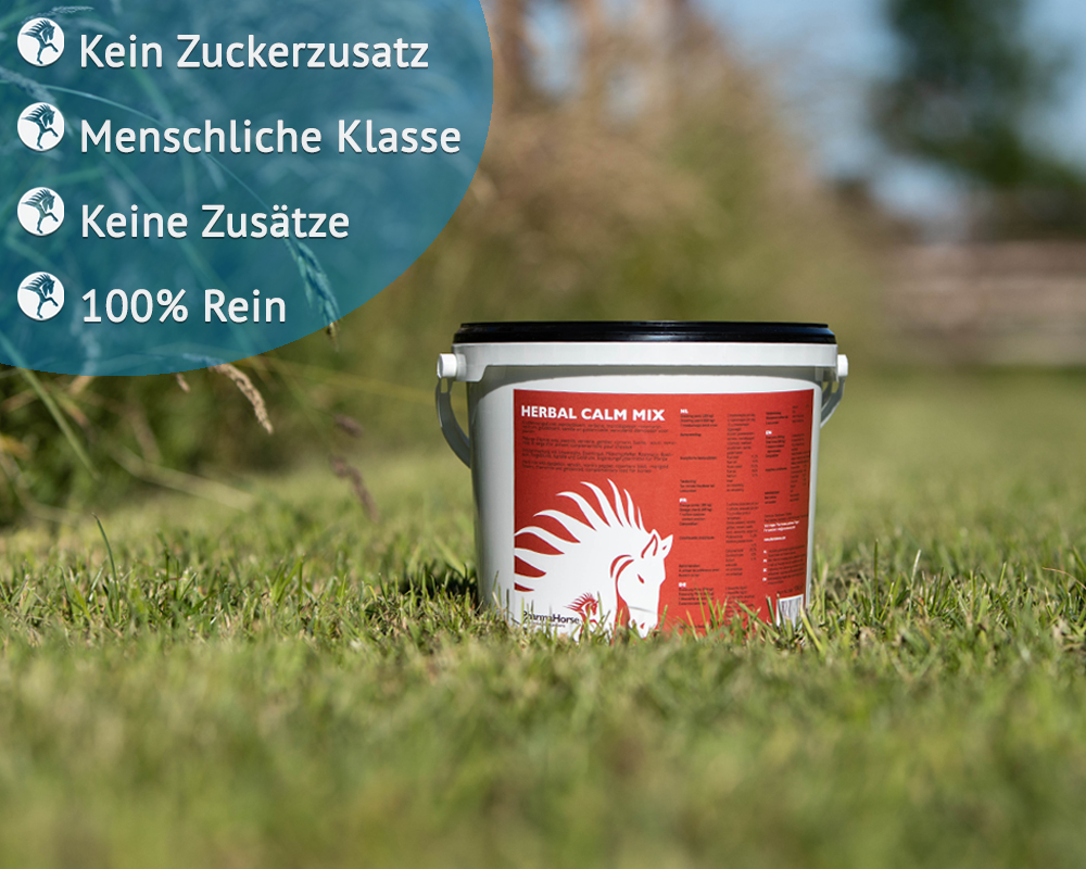 Produktbild von AGROBS Kräutermix 1 Kg Für Pferde – Wiesenkräuter-Mischung Für Weide & Futter, Mehrjährig, Natürliche Mineralstoffe