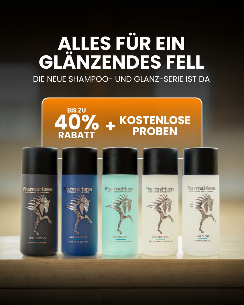IMG-AllesVoorEen-GR-W27-V2